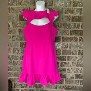Hot pink Dress with ruffled details Size Medium New With Tags